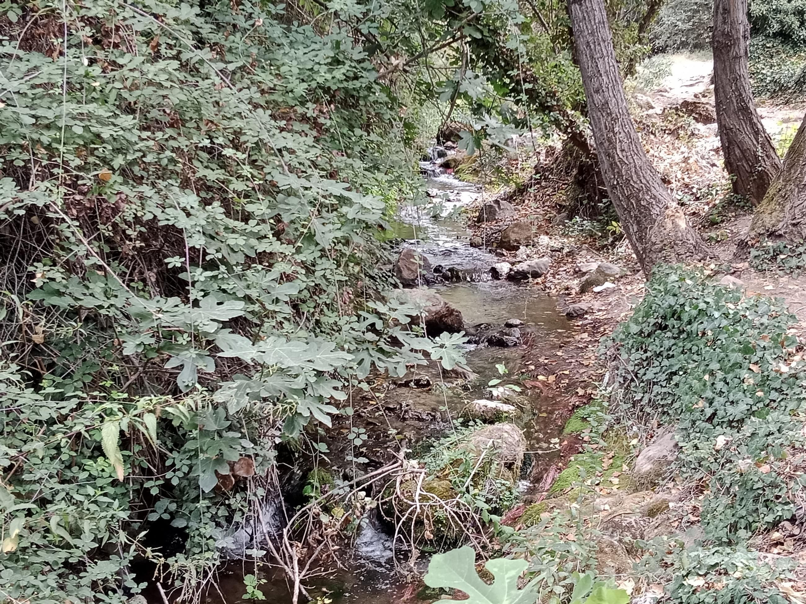 Así está en septiembre la preciosa cascada que puedes ver en Jaén