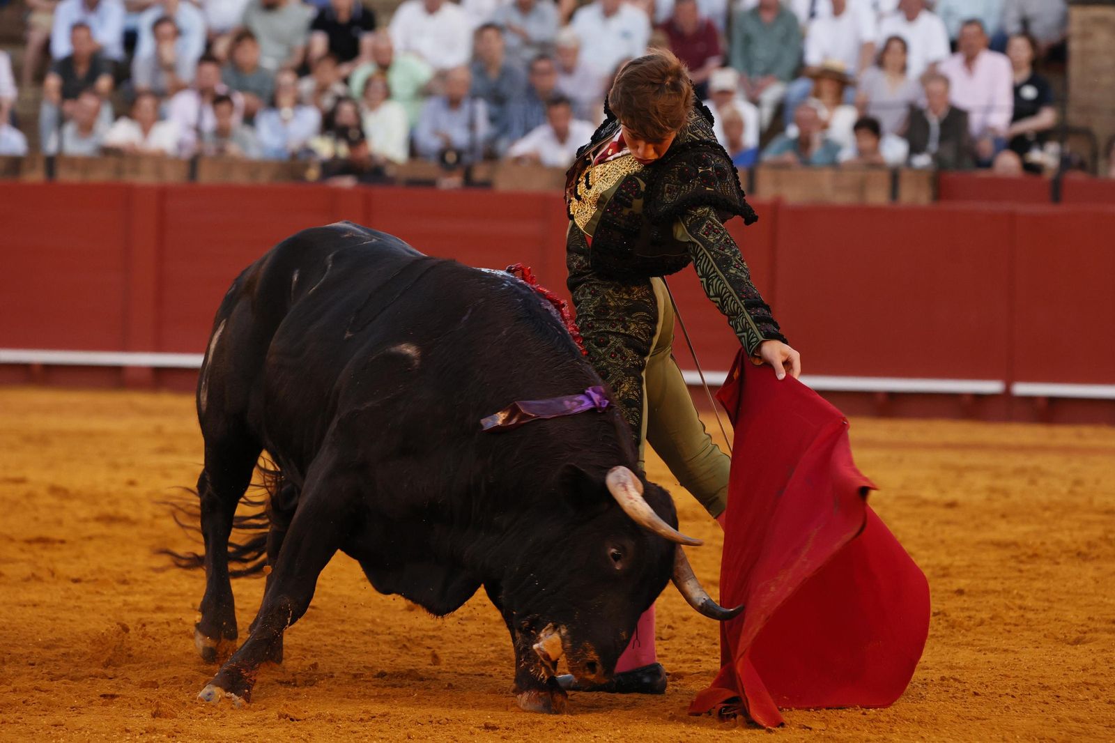 Las imágenes de la Novillada