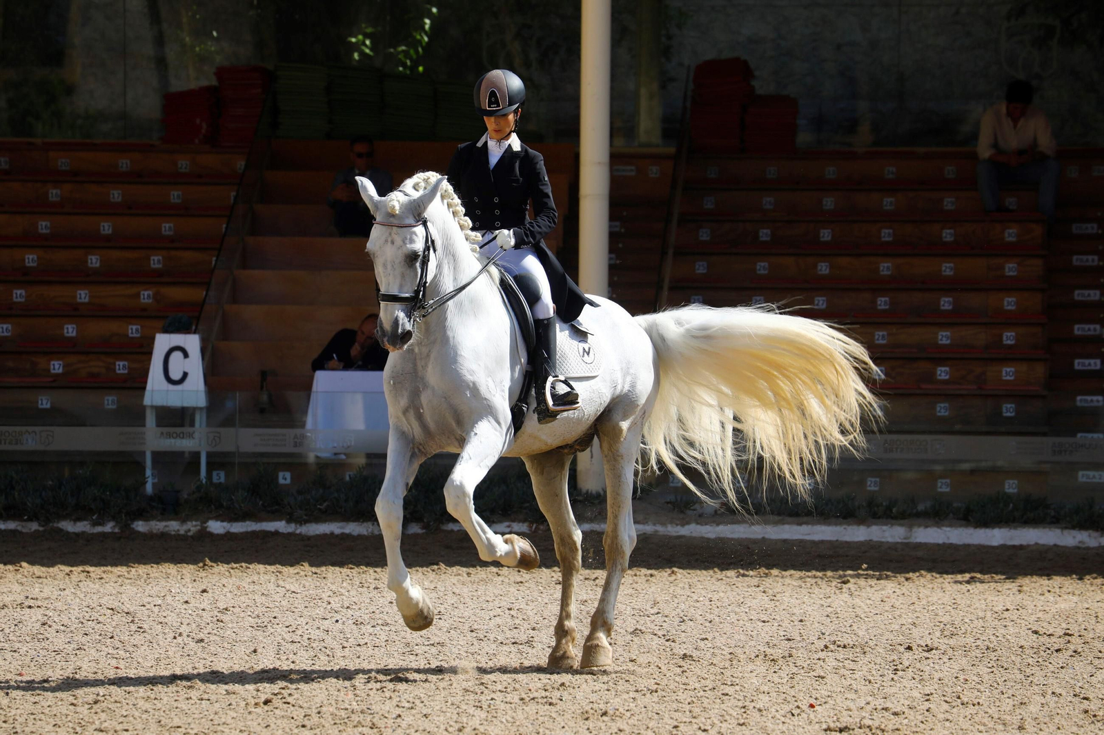 El concurso nacional de Doma Clásica en las Caballerizas Reales de Córdoba