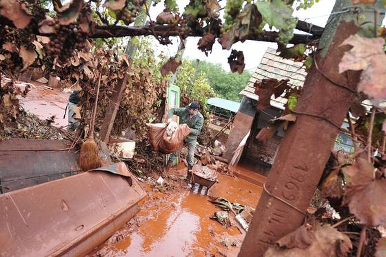 Foto: EFE / AFP / Reuters