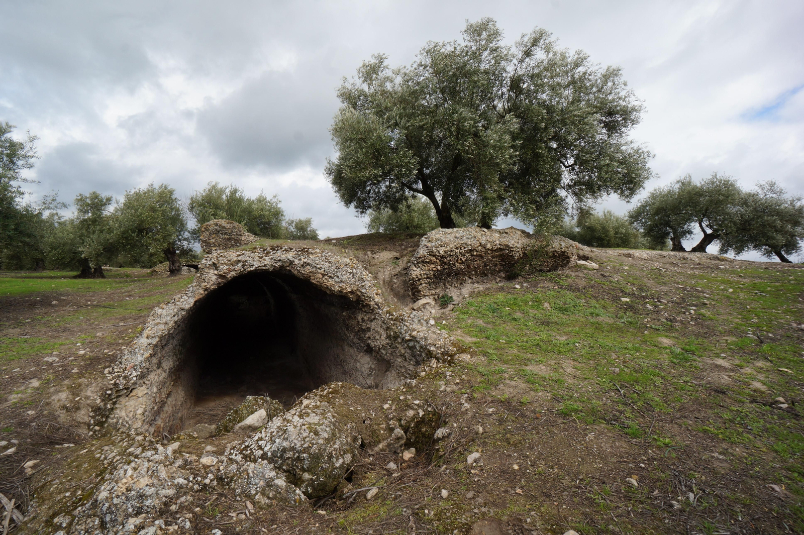 Los silos romanos del Carchena en Castro del Río, en fotografías