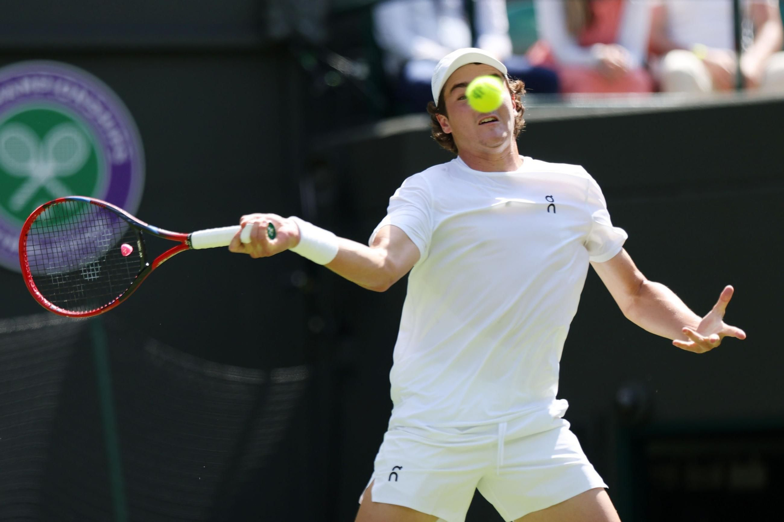 La primera jornada de Wimbledon (71).jpg