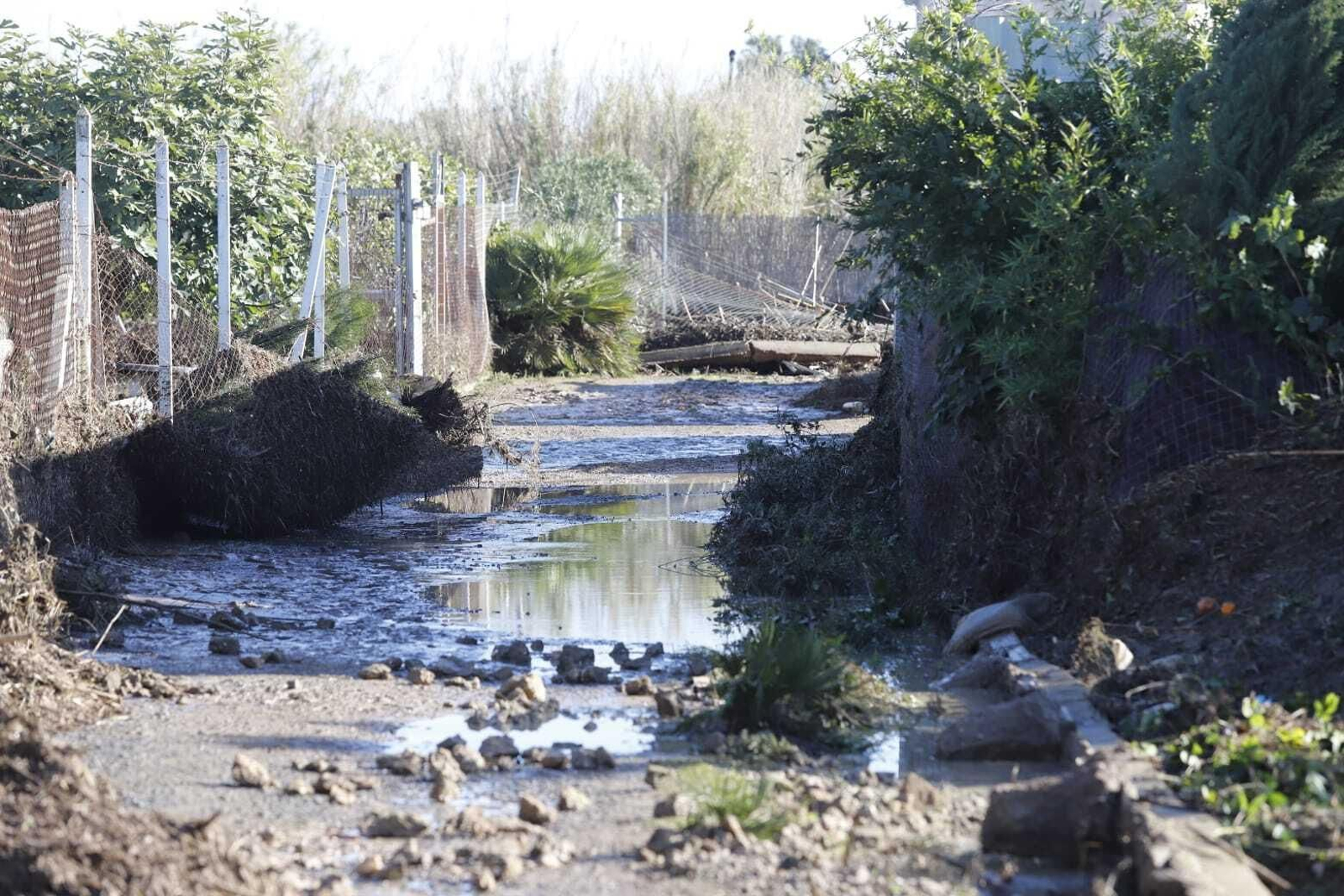 Las imágenes de las grandes inundaciones en Los Palmares entre San Juan y Trigueros