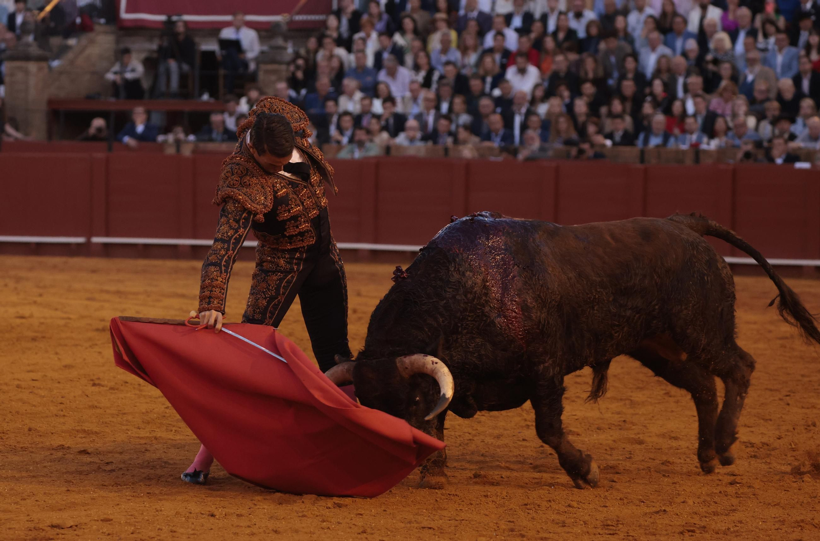 Las imágenes de los toros en Sevilla con Morante de la Puebla, José María Manzanares y Talavante