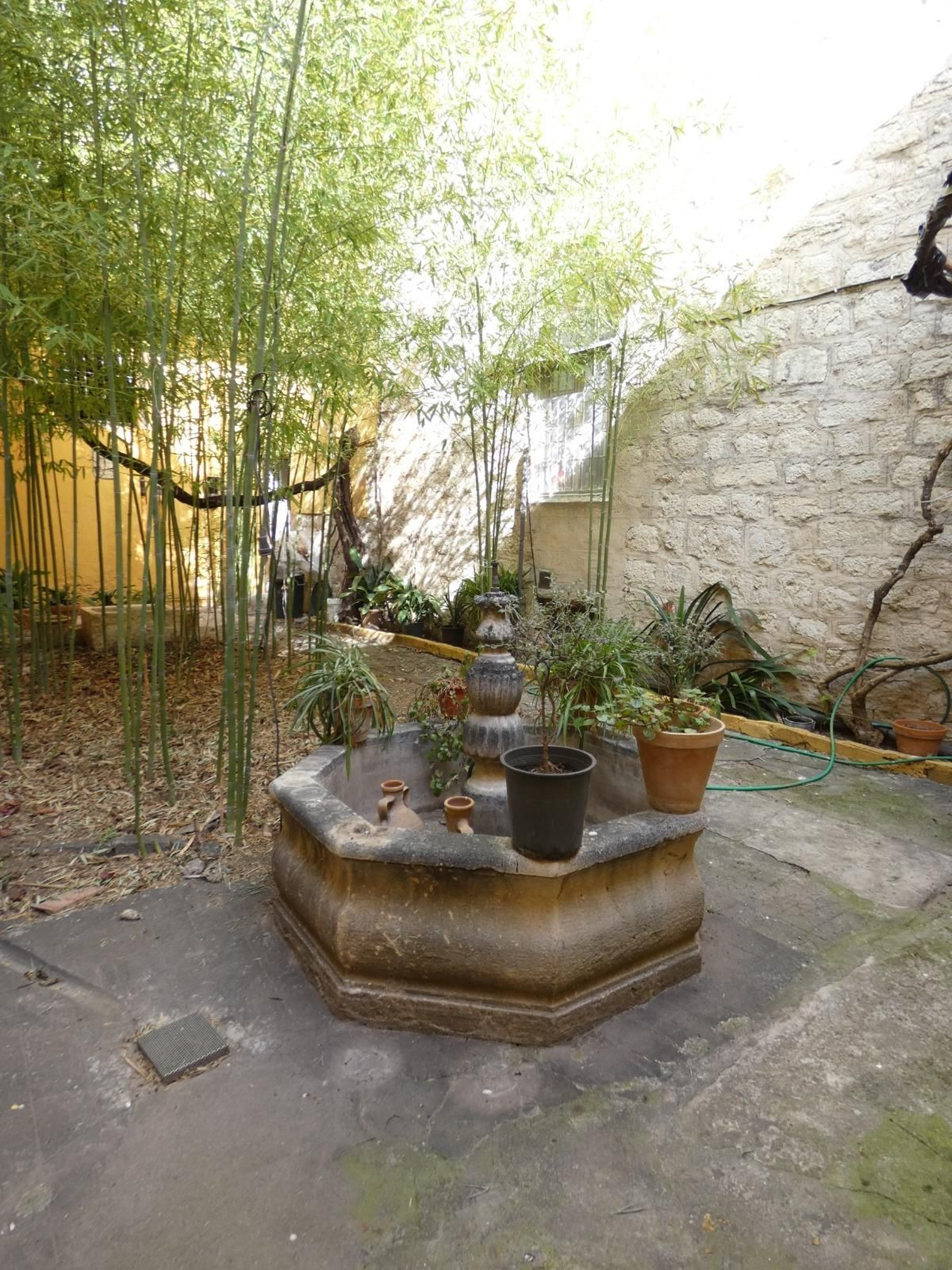 Detalles de algunos de los patios del entorno de la Catedral de Jaén.