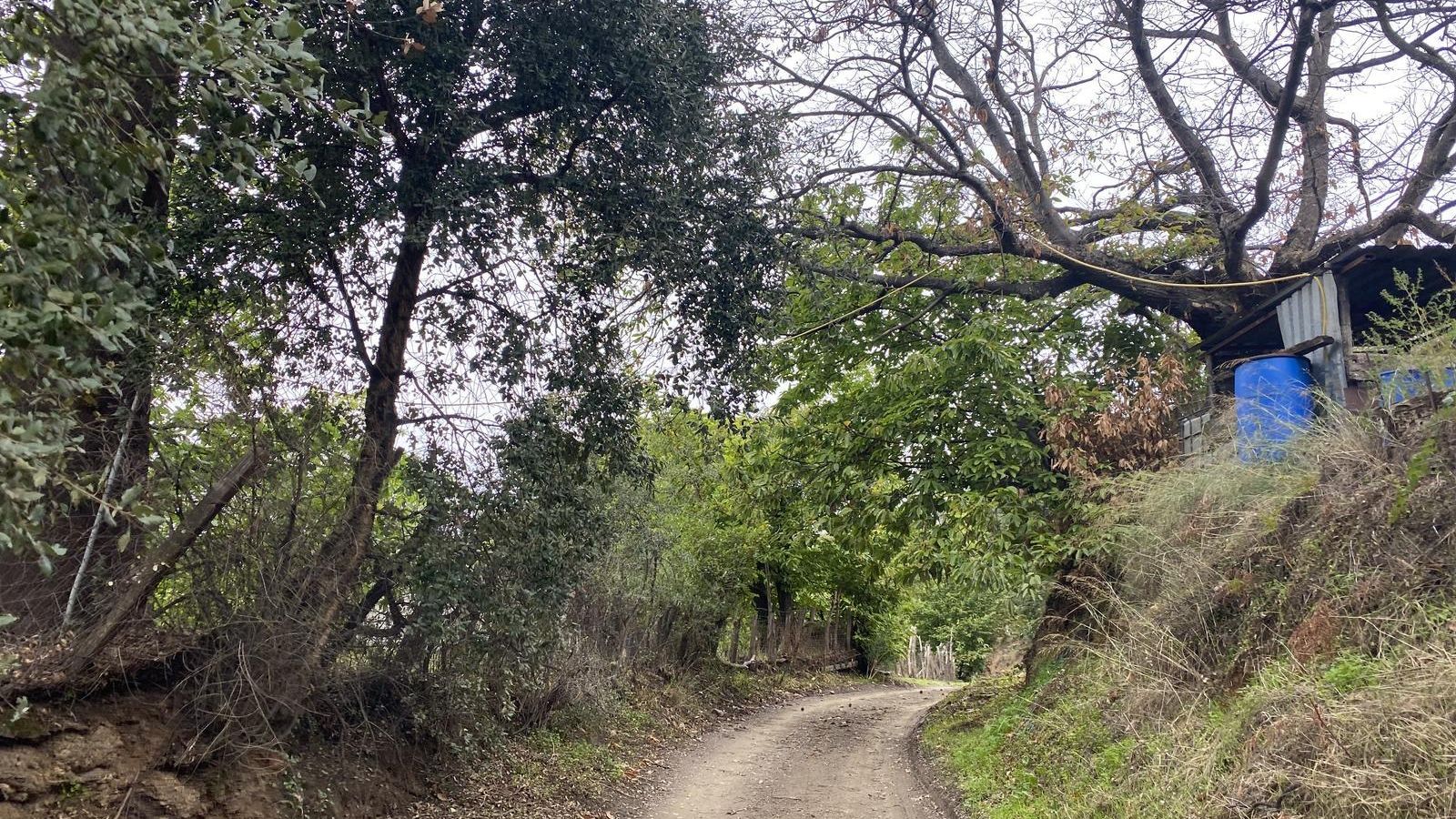 Uno de los tramos del sendero.