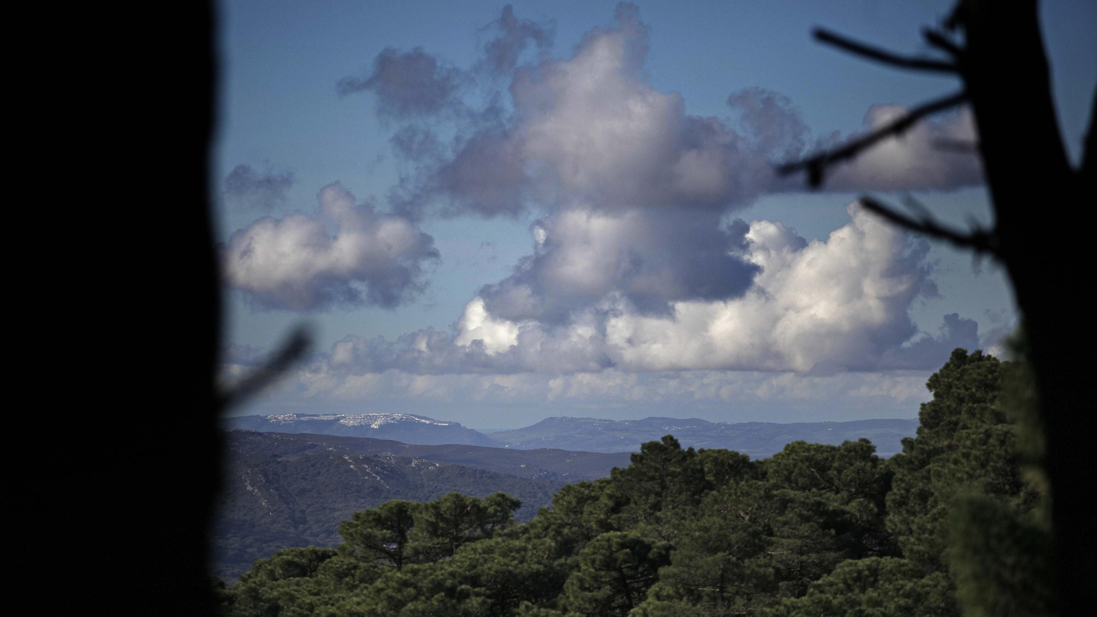 Sendero de la finca Murta en Los Barrios