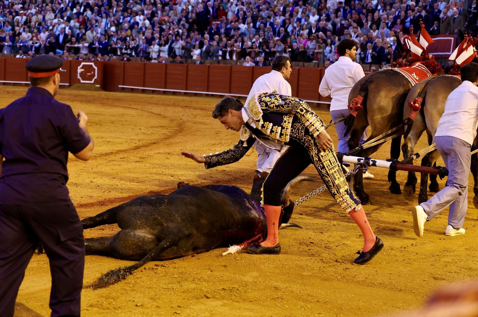 Escribano reconoce la bravura de 'Mosquetón' antes de su vuelta al ruedo póstuma.