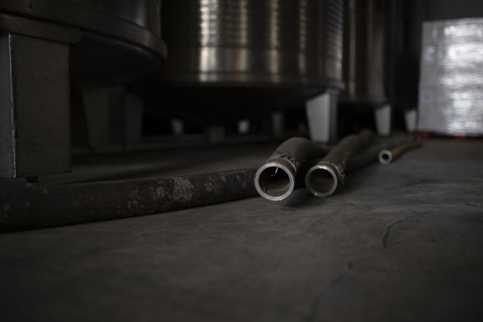 Imágenes de la vendimia en el Condado de Huelva