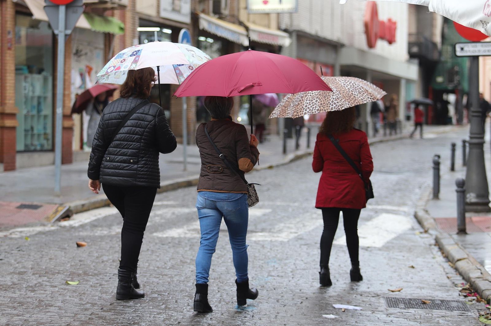 Imágenes del lunes 5 de diciembre en Huelva
