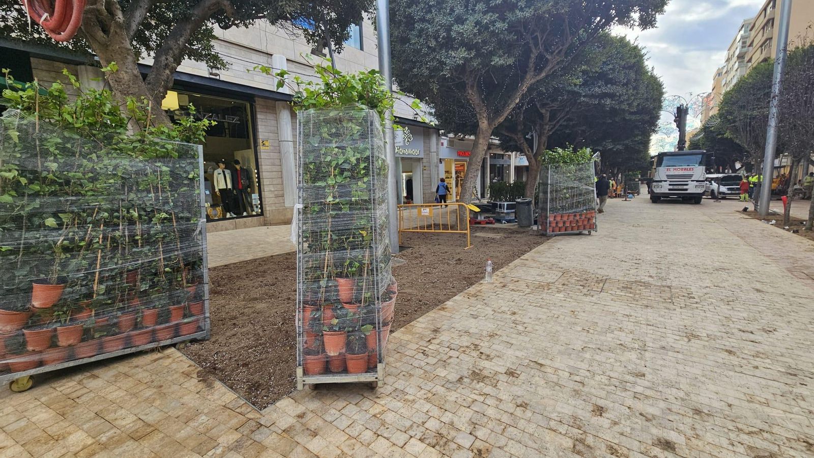 Las plantas justo tras llegar a El Paseo de Almería.