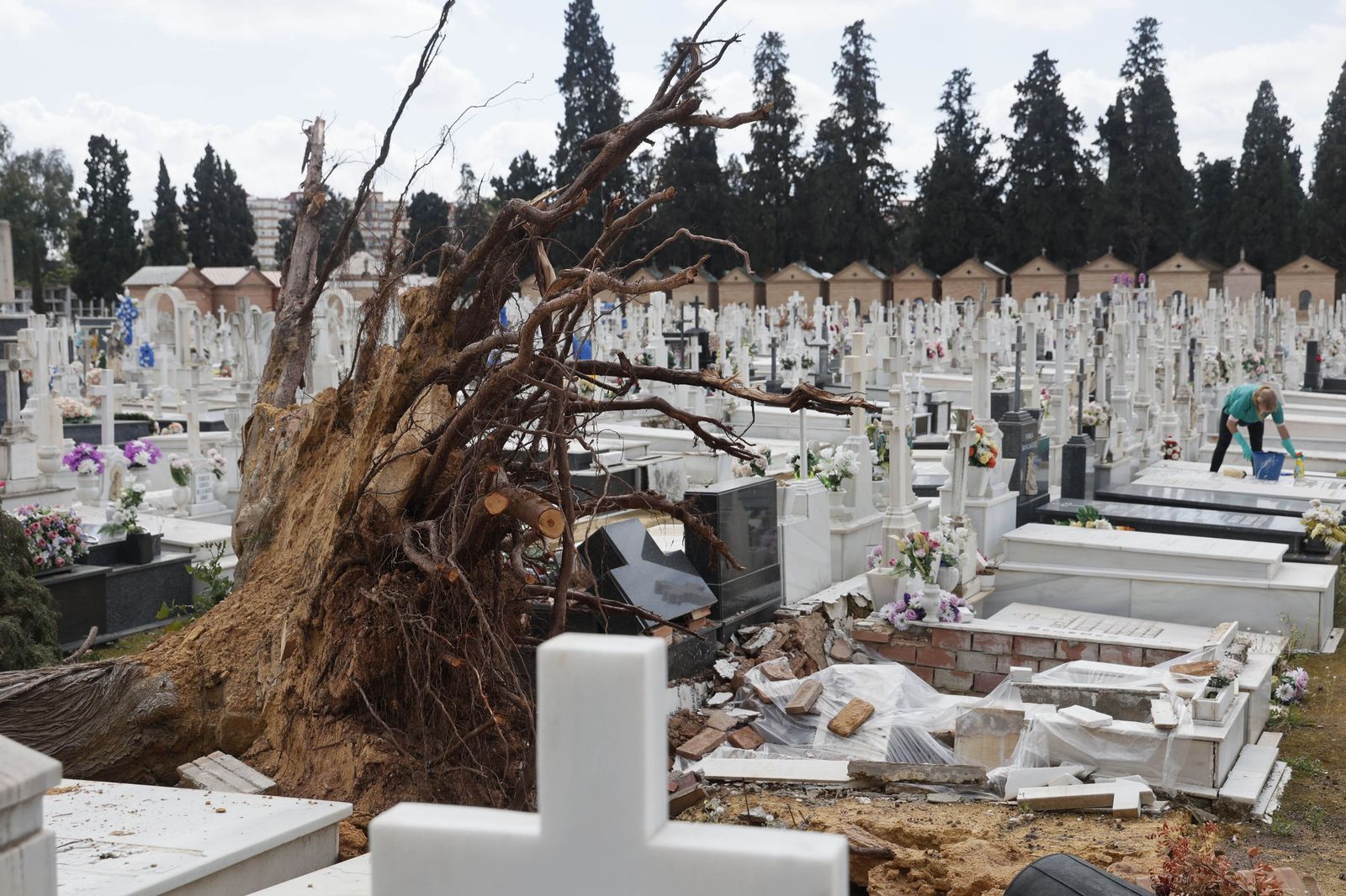 Destrozos provocados en las lápidas del cementerio por la caída de árboles