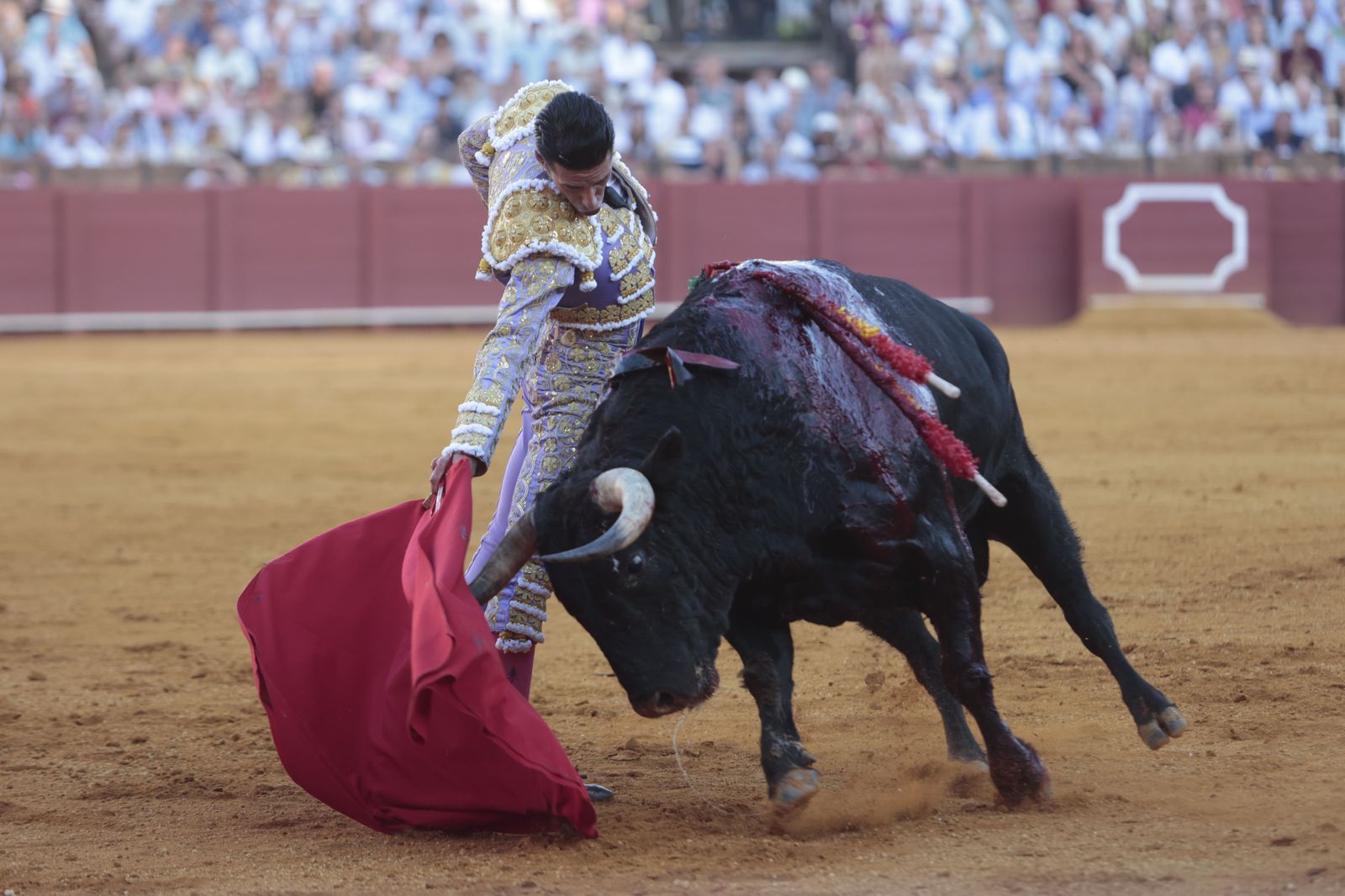 El triunfo de Castella en imágenes