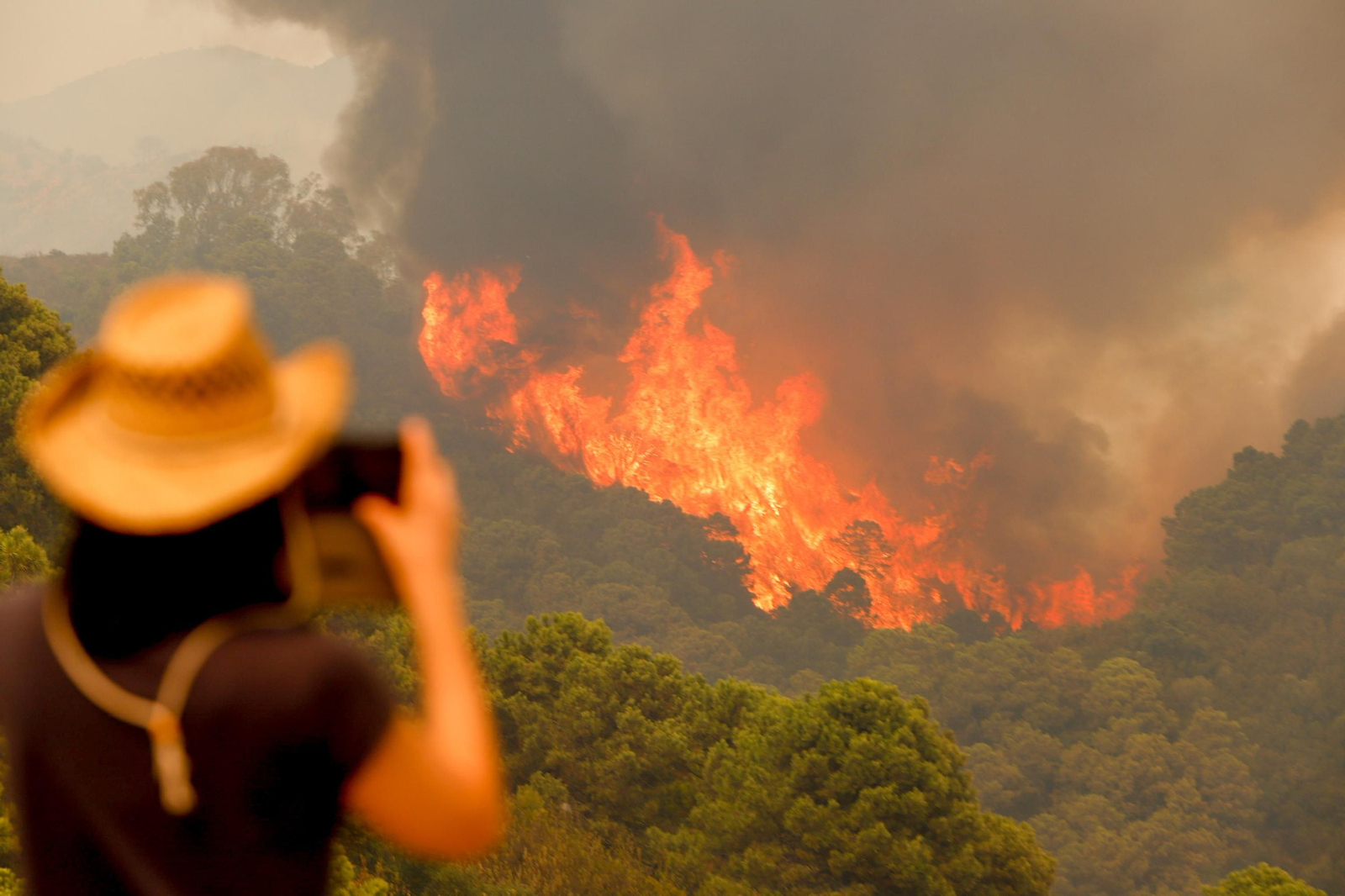 Las fotos del incendio forestal que afecta a Jubrique, Genalguacil y Estepona