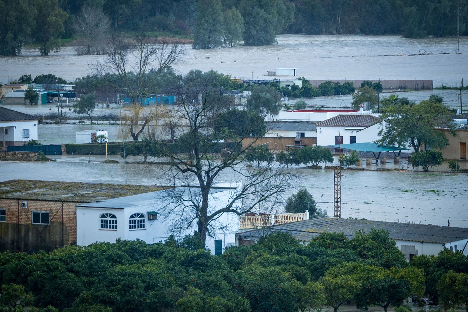 Las imágenes de las inundaciones en Arcos: la espectacular crecida del río Guadalete por la apertura de las presas