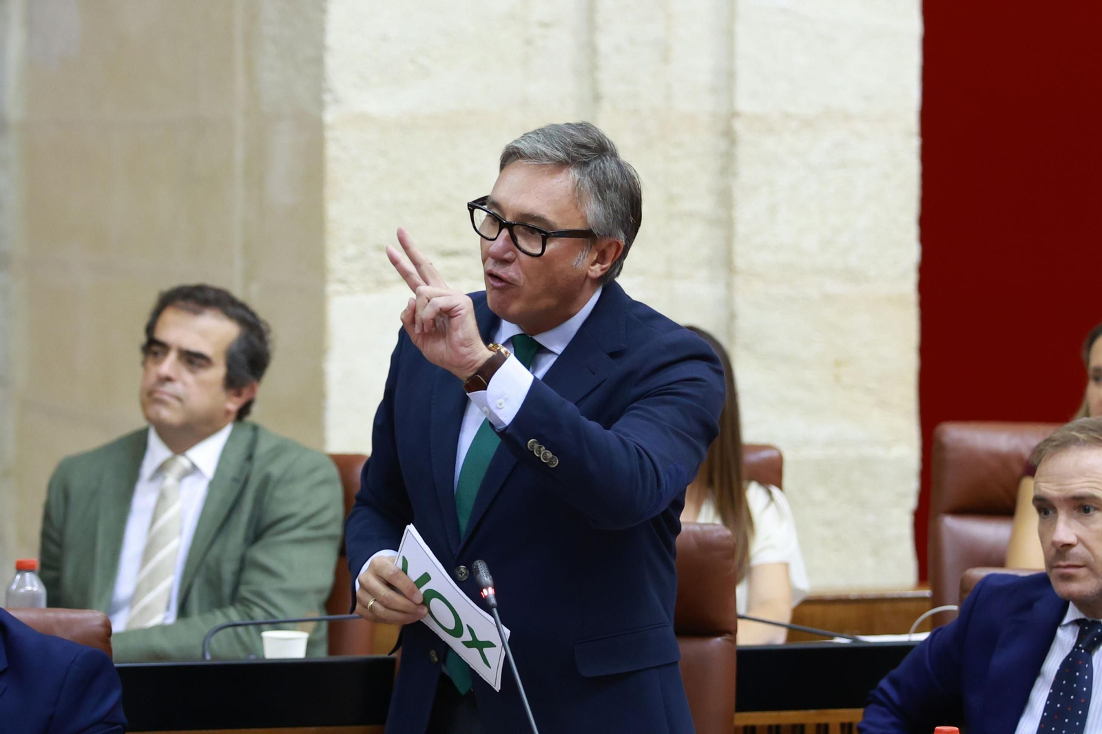 Manuel Gavira, en el Parlamento.