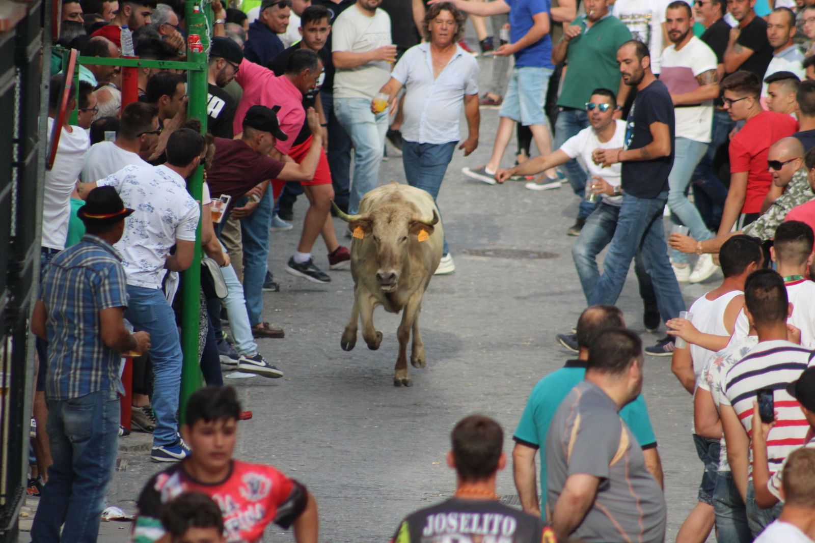 Las mejores imágenes de los encierros y la feria de Paterna