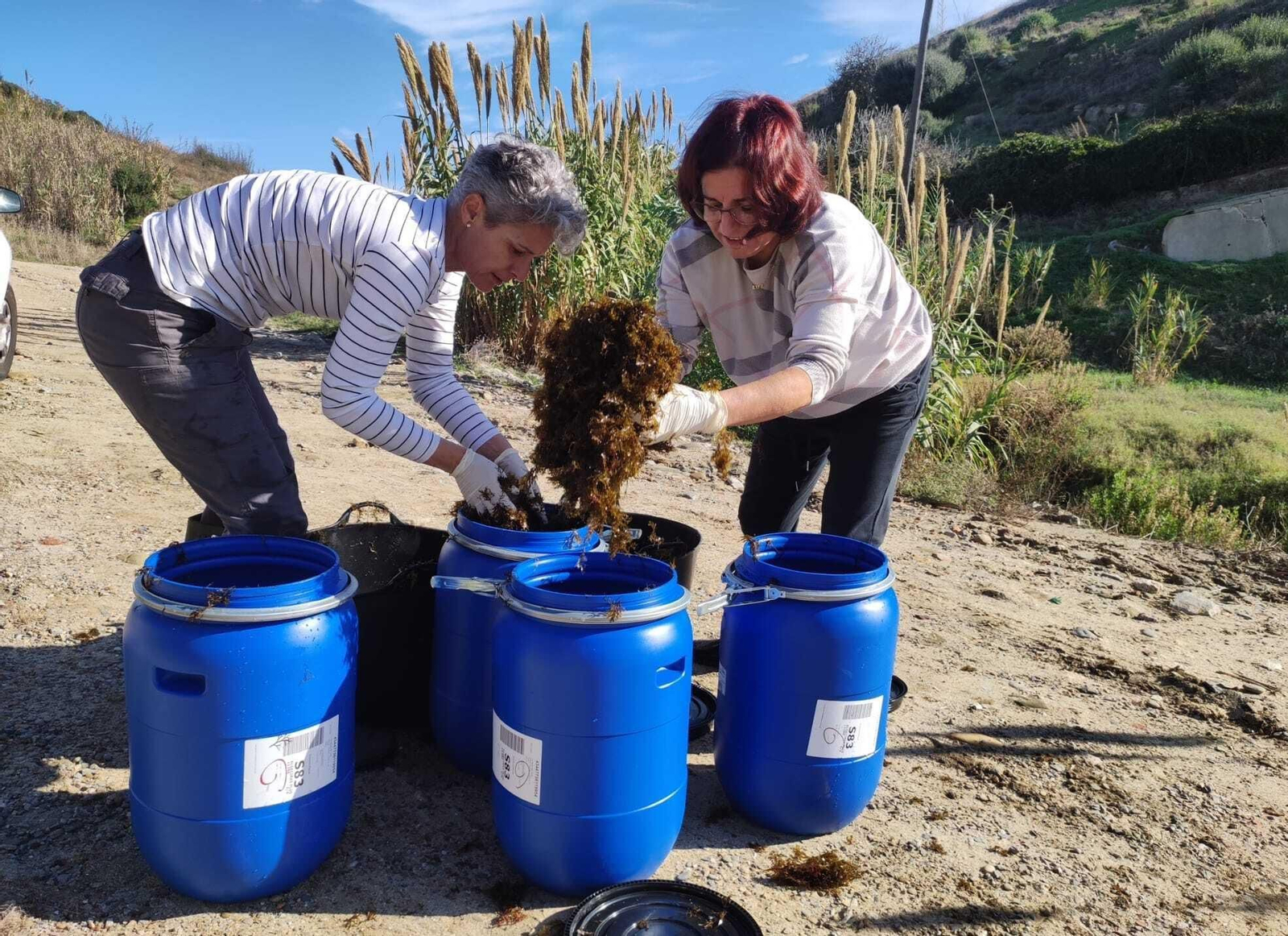 Las dos promotoras del proyecto recogen algas para su tratamiento. Las dos promotoras del proyecto recogen algas para su tratamiento.
