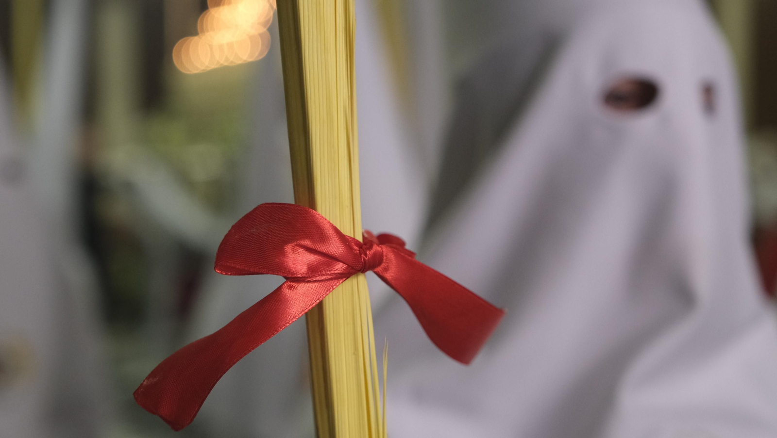 Imágenes de la Procesión de la Borriquita de Almería