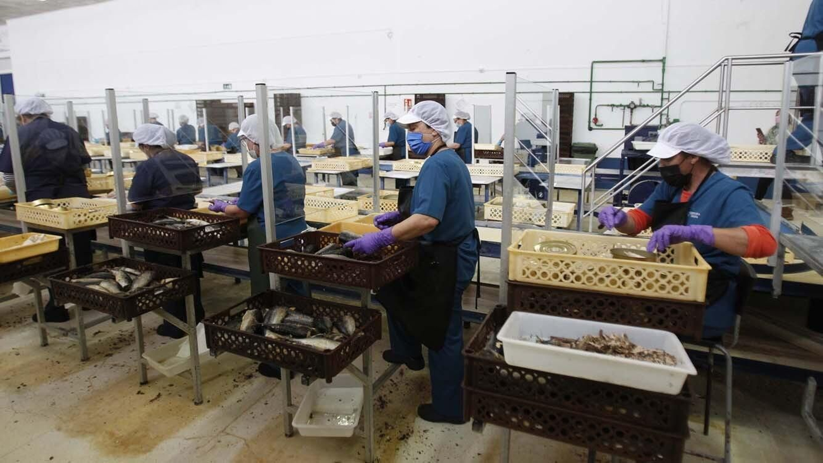 Las fotos de la inauguración de la calle Estibadoras de la Conservera en Tarifa