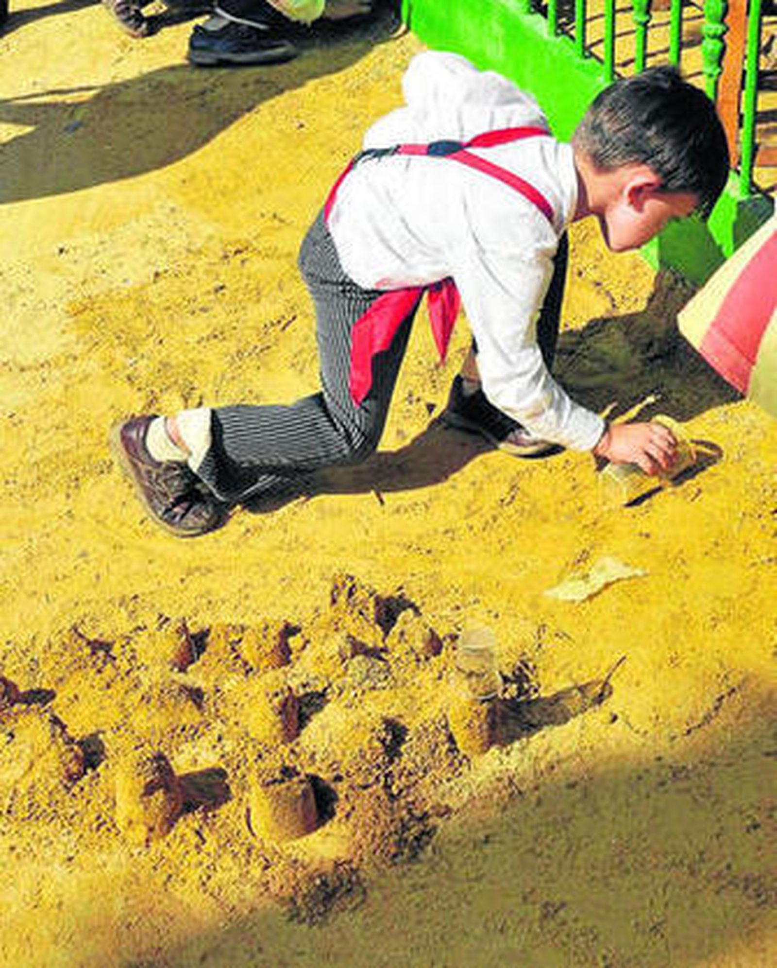 Un niño juega con el albero del real.