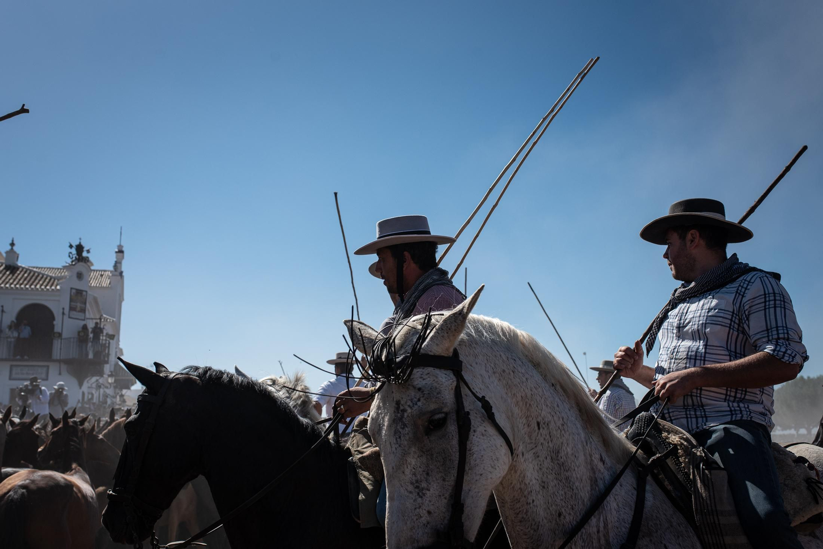 Imágenes de la Saca de las Yeguas a su paso por El Rocío