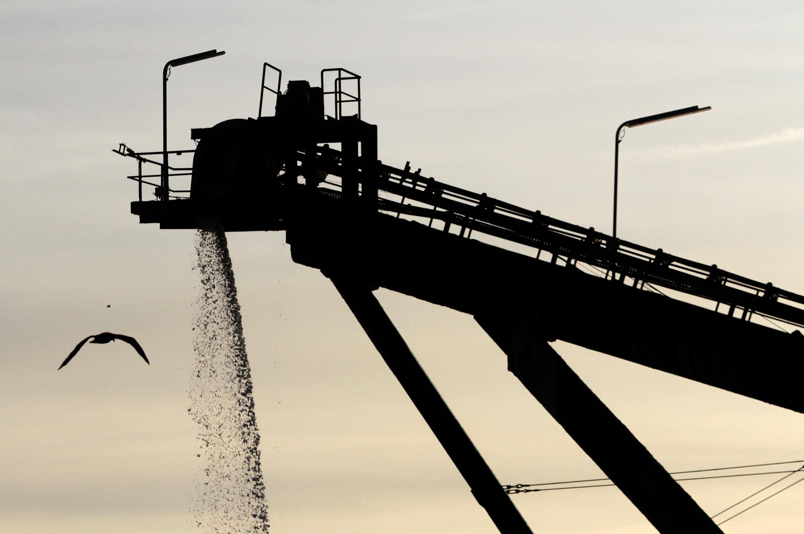 Imágenes de Marismas del Odiel, un Paraje Natural en la confluencia de las desembocaduras de los ríos Tinto y Odiel