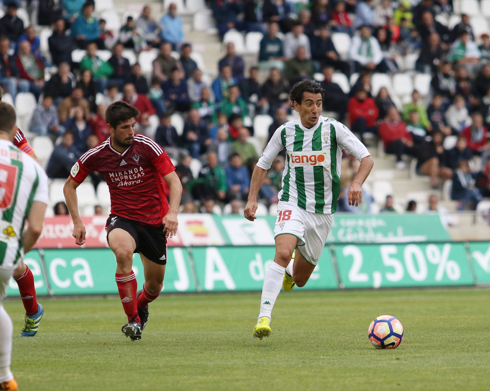 El Córdoba-Mirandés, en imágenes