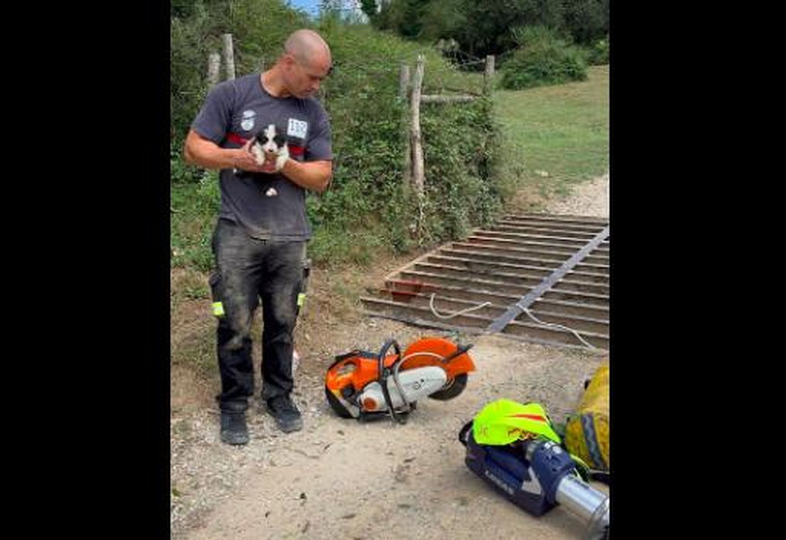 Rescatado un cachorro de border collie caído en un paso canadiense en el Monte Tejas (Cantabria)