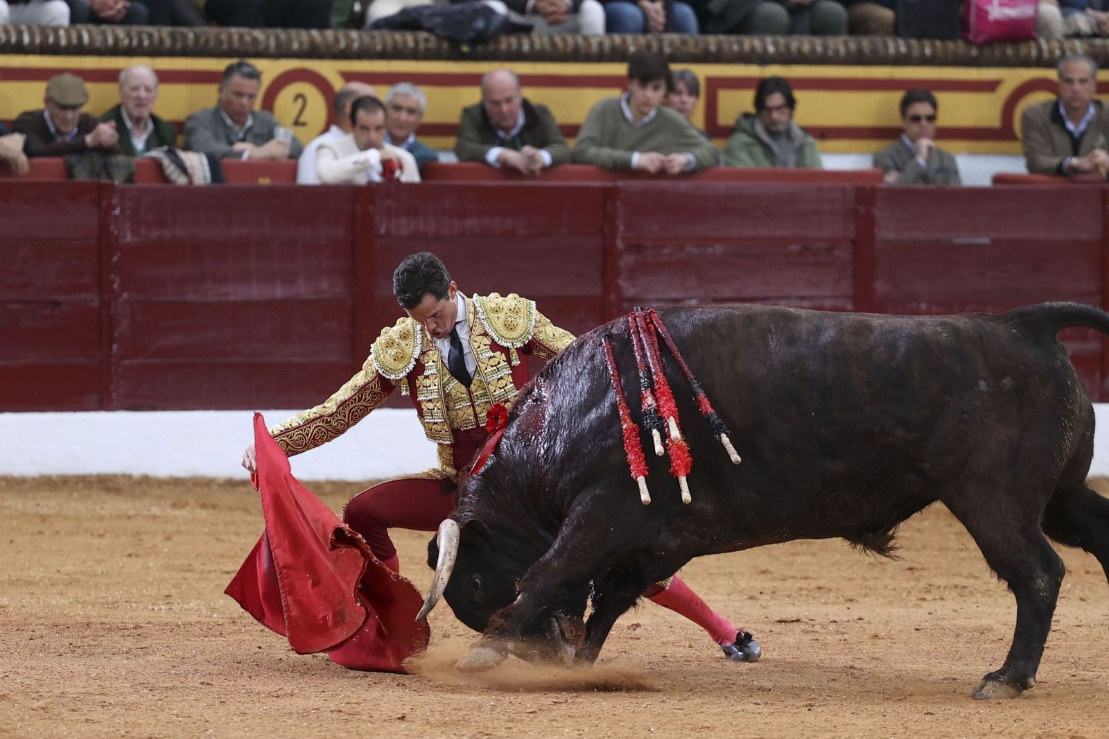 Poderoso muletazo por bajo de Daniel Luque en Olivenza.