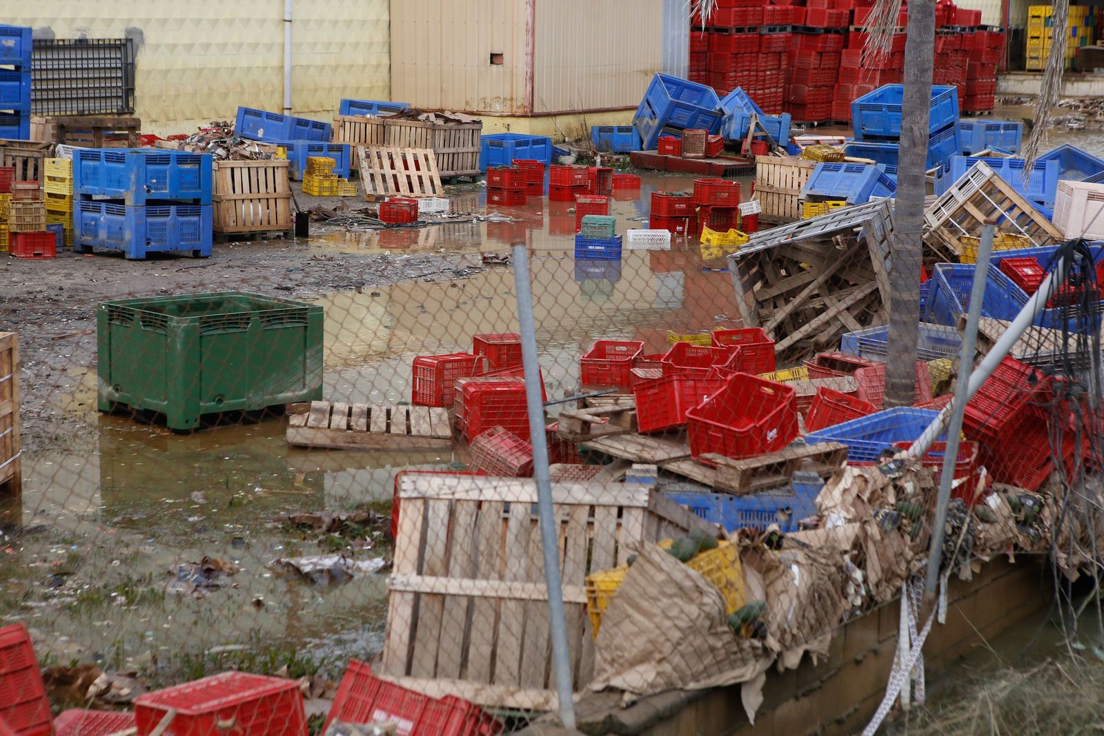 Fotos de las consecuencias de la borrasca Francis en Tesorillo y Jimena