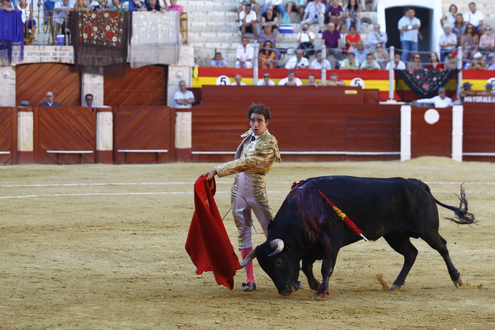 Fotogalería de la novillada de la Feria Taurina de Almería 2022