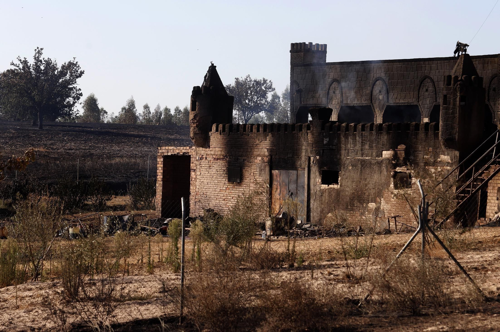 Imágenes de las zonas afectadas por los incendios de Almonte y Bonares