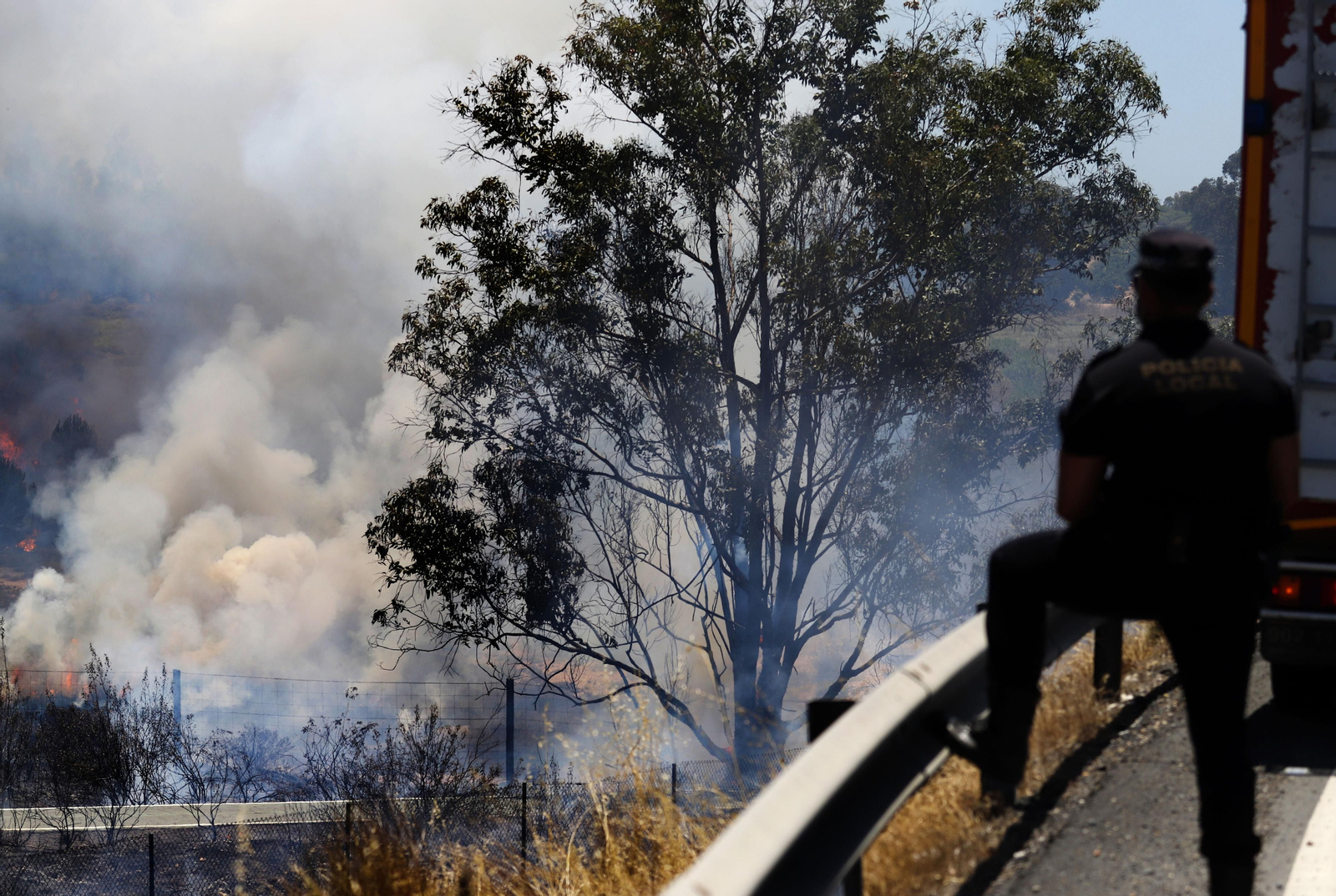 Imágenes del espectacular incendio entre en el paraje de la raya de Aljaraque y Marismas del Odiel