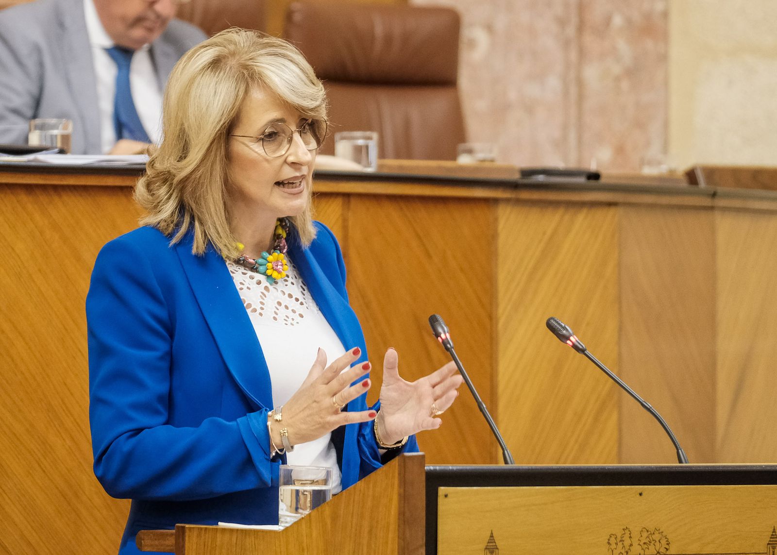 Pilar Pintor, durante su intervención en el Parlamento de Andalucía.