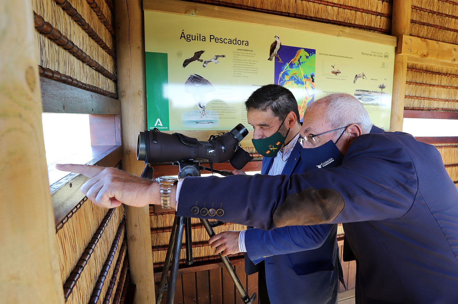 Inauguración del nuevo observatorio del Águila Pescadora en Marismas del Odiel