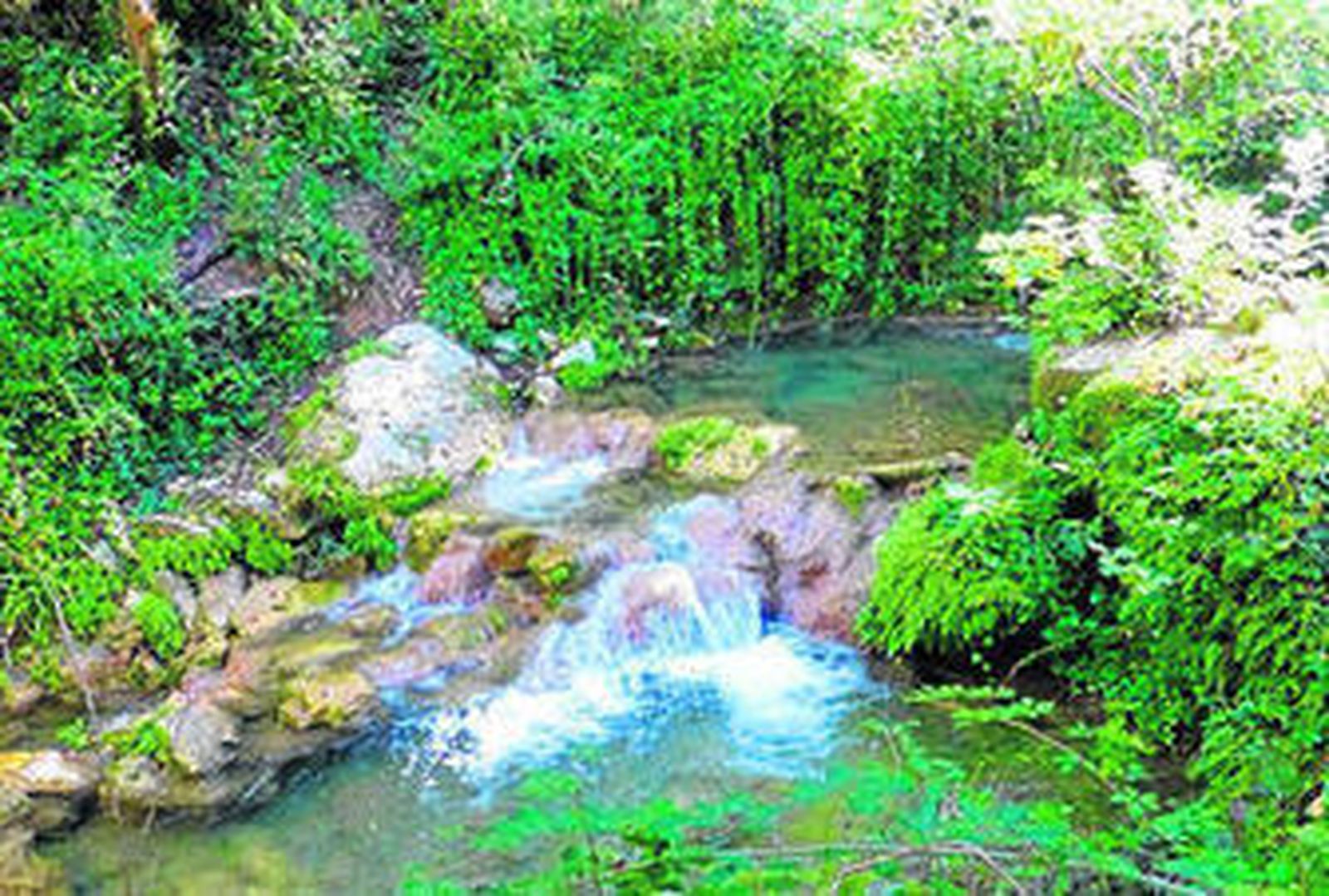 Paseo y baño en el Arroyo de la Ventilla