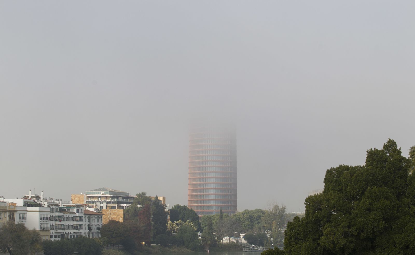 Mañana con niebla en Sevilla
