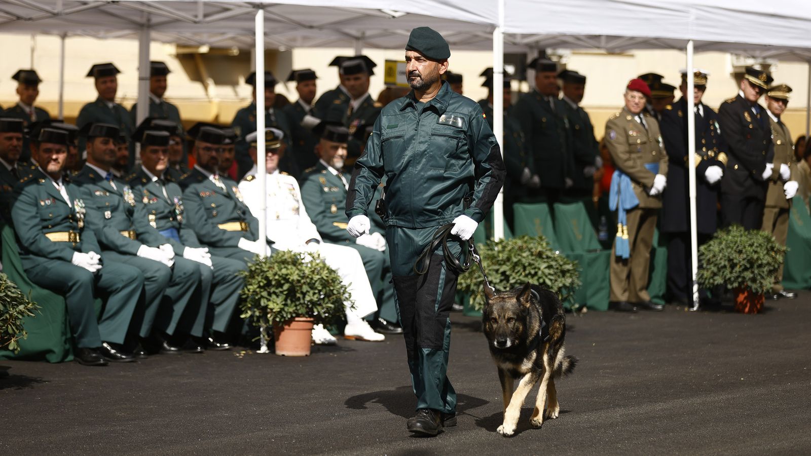 La Guardia Civil celebra el día de su Patrona, todas las imágenes