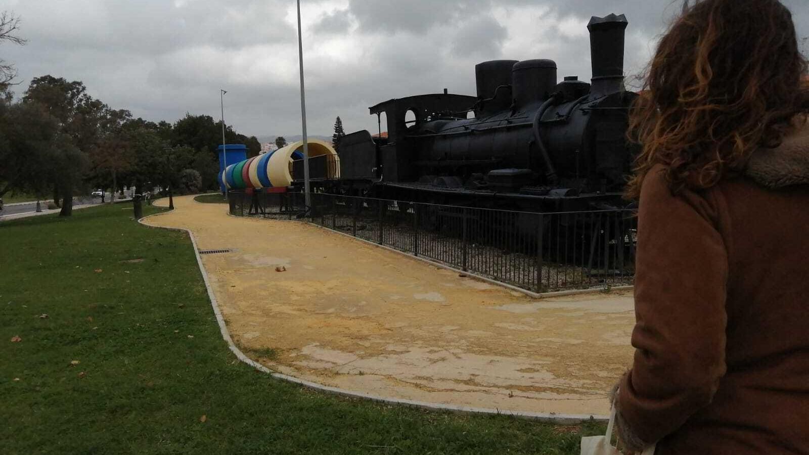 La Verraco en el Parque del Tren de Los Barrios
