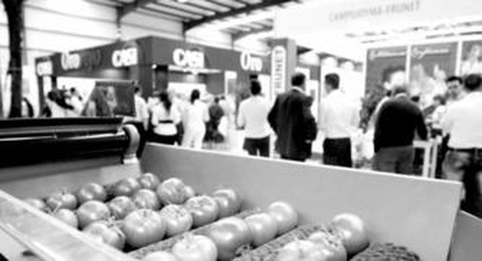 La feria permanecerá abierta hasta el próximo domingo.