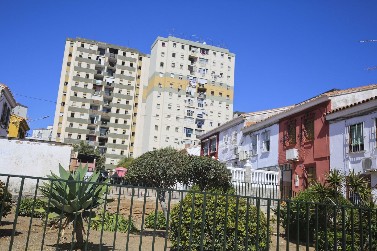 Las fotos del distrito Palma-Palmilla