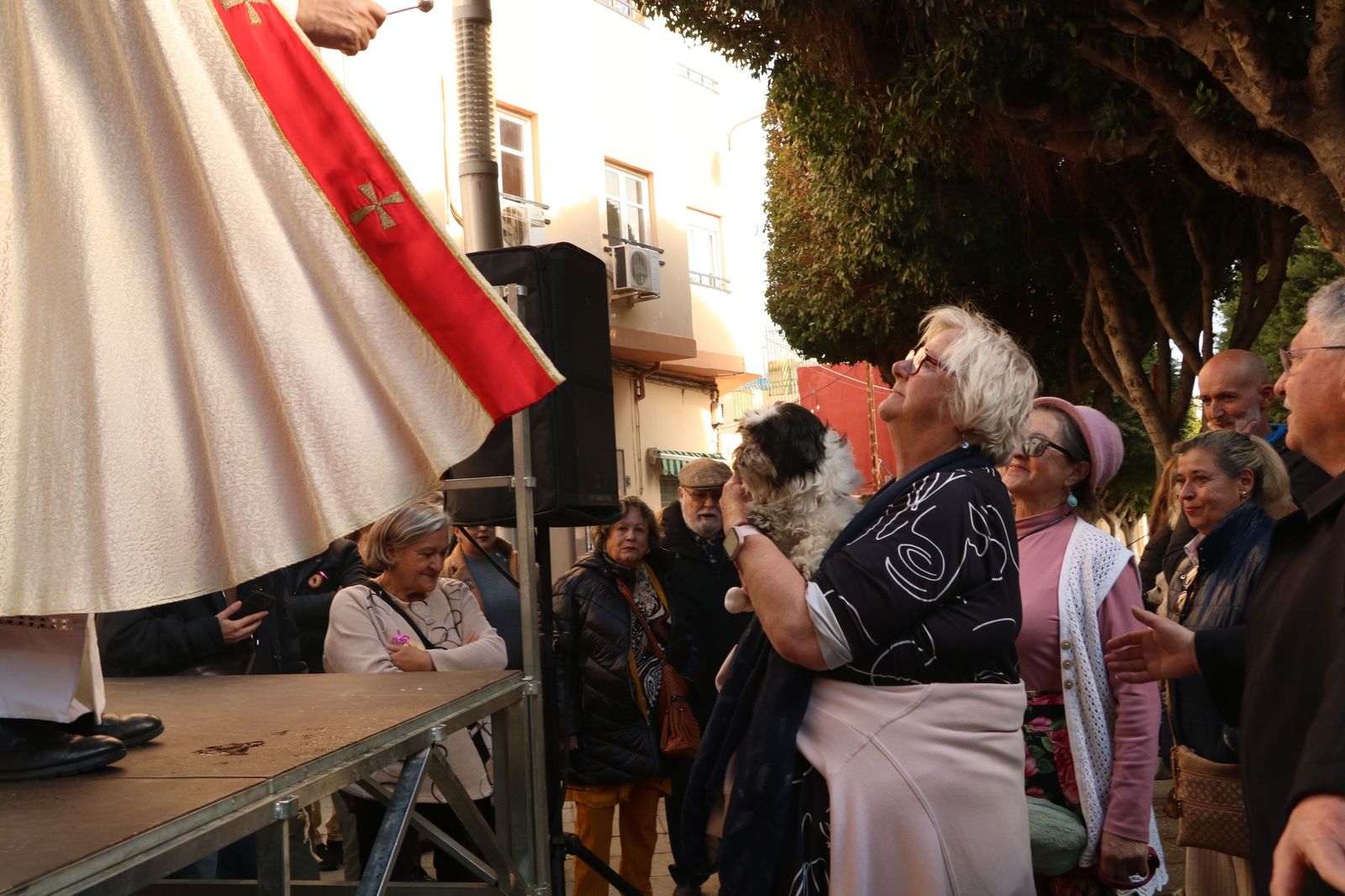 Así ha sido la bendición de las mascotas y la subasta de 'rabicos' en el casco histórico de Almería
