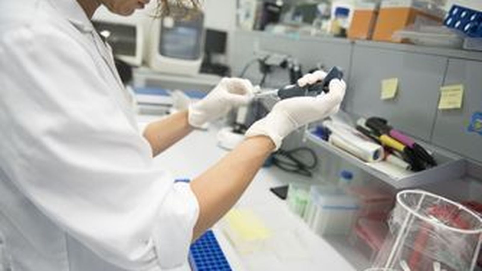 Una investigación liderada por la Universidad de Granada