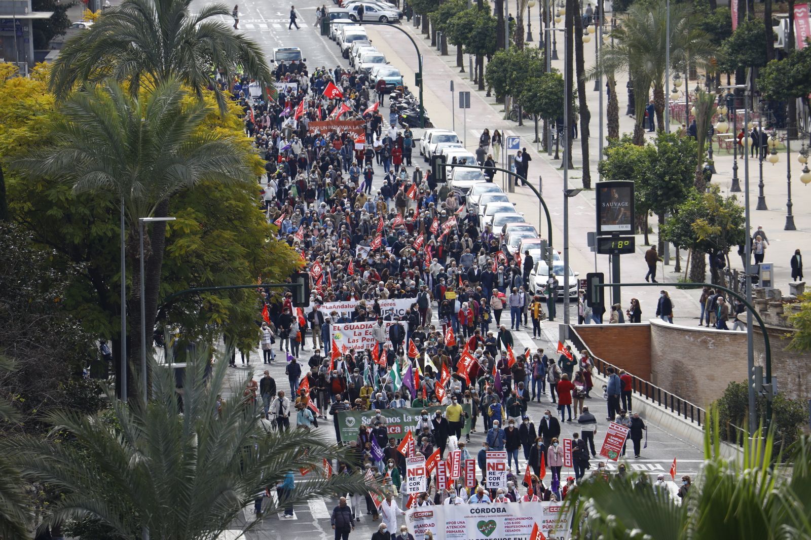 Manifestación en defensa de la sanidad pública en Córdoba, en imágenes