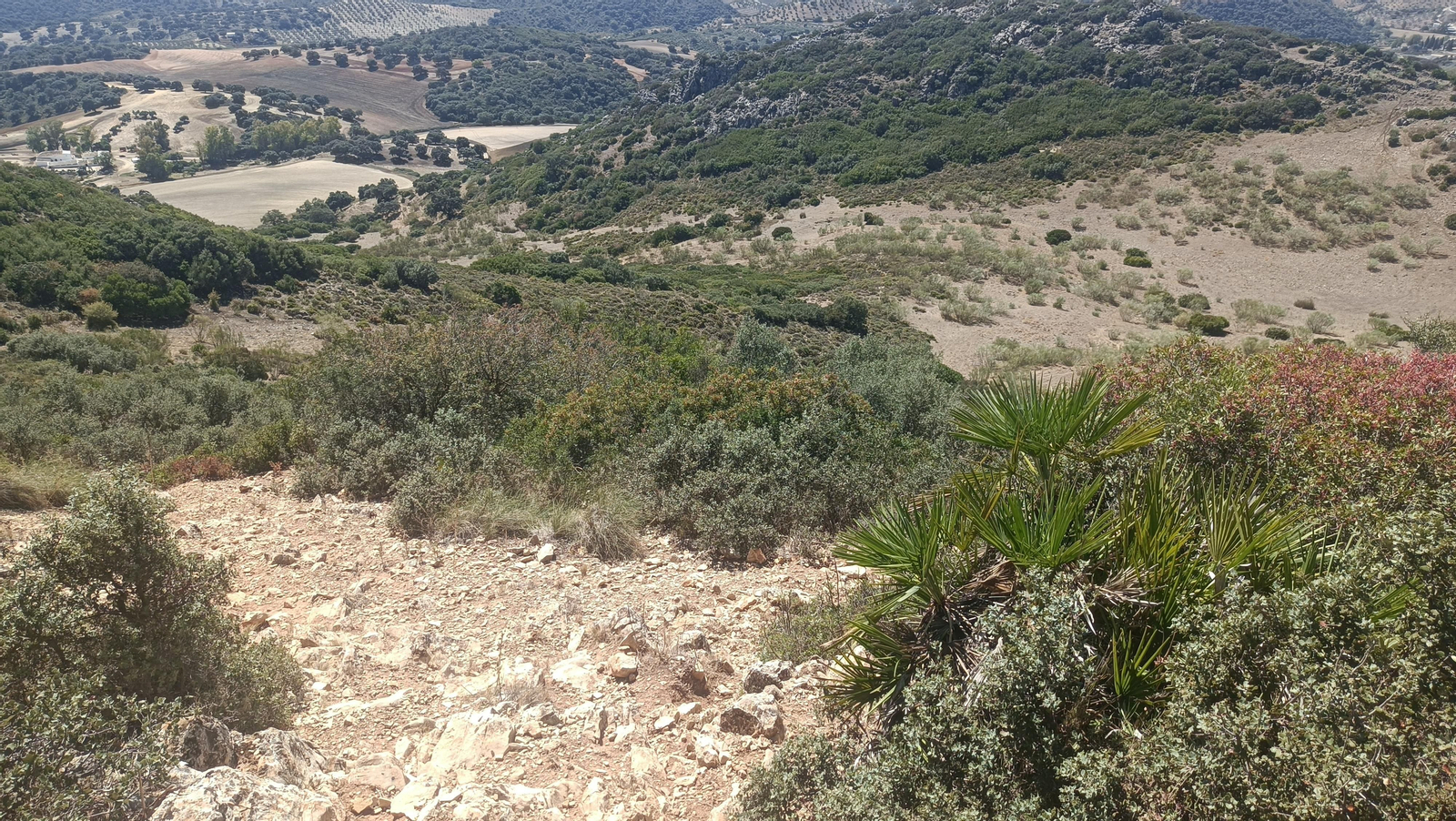 Fotos del ascenso al Pico del Terril