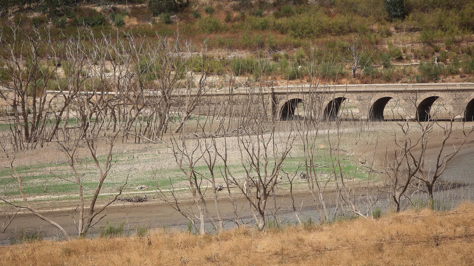 Así se encuentran algunos embalses de la provincia