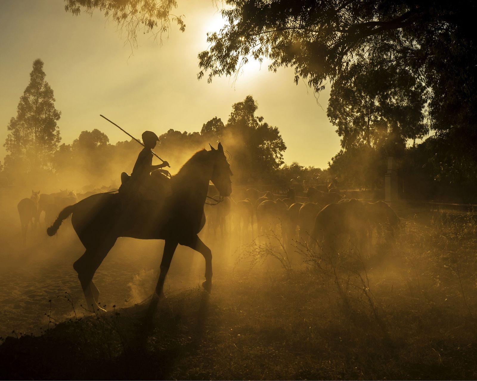 Una de las fotos que se pueden contemplar en la exposición.