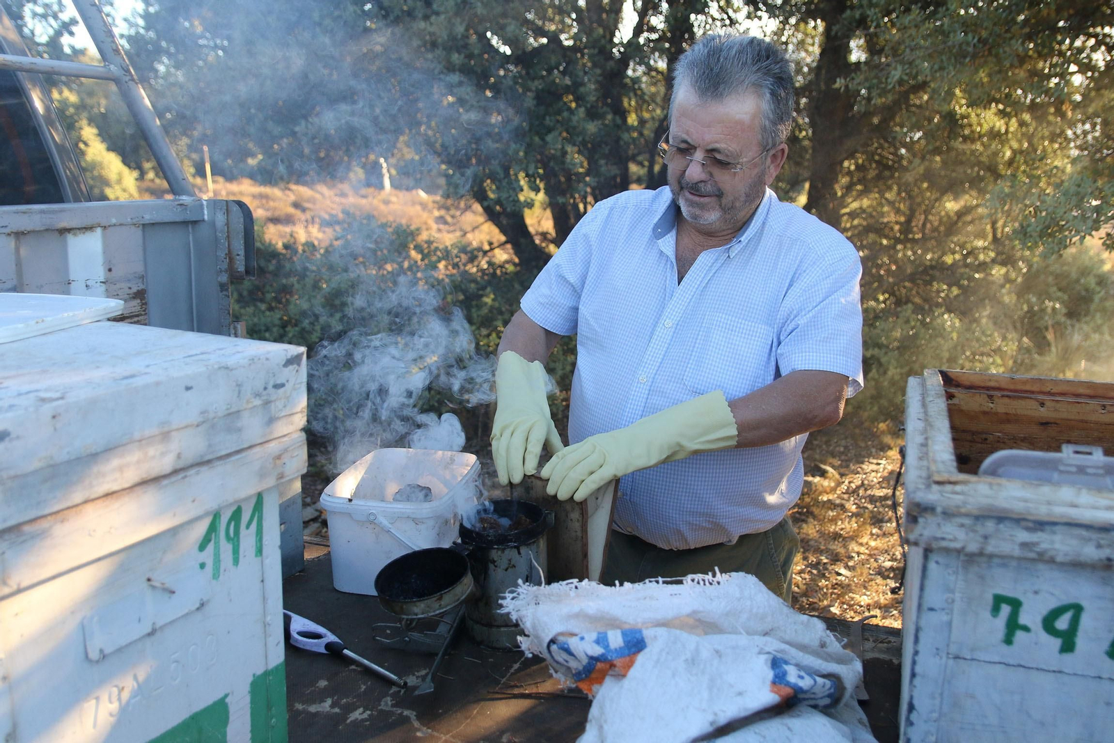 Las imágenes de cómo cuida sus colmenas Juan, el apicultor