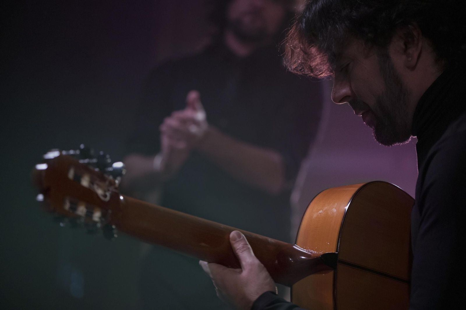 El guitarrista flamenco Daniel Casares.